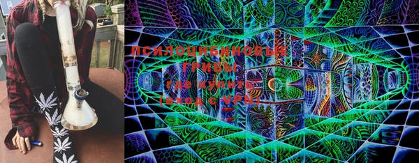 стаф Белоозёрский
