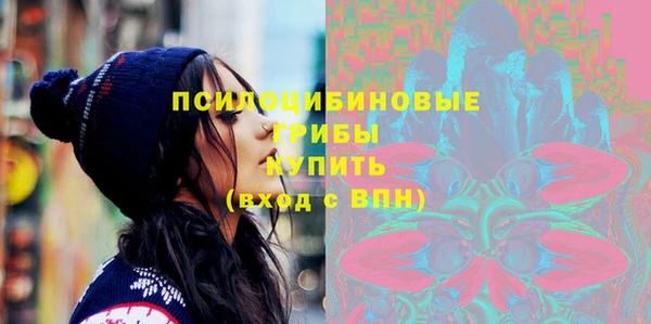 стаф Белоозёрский